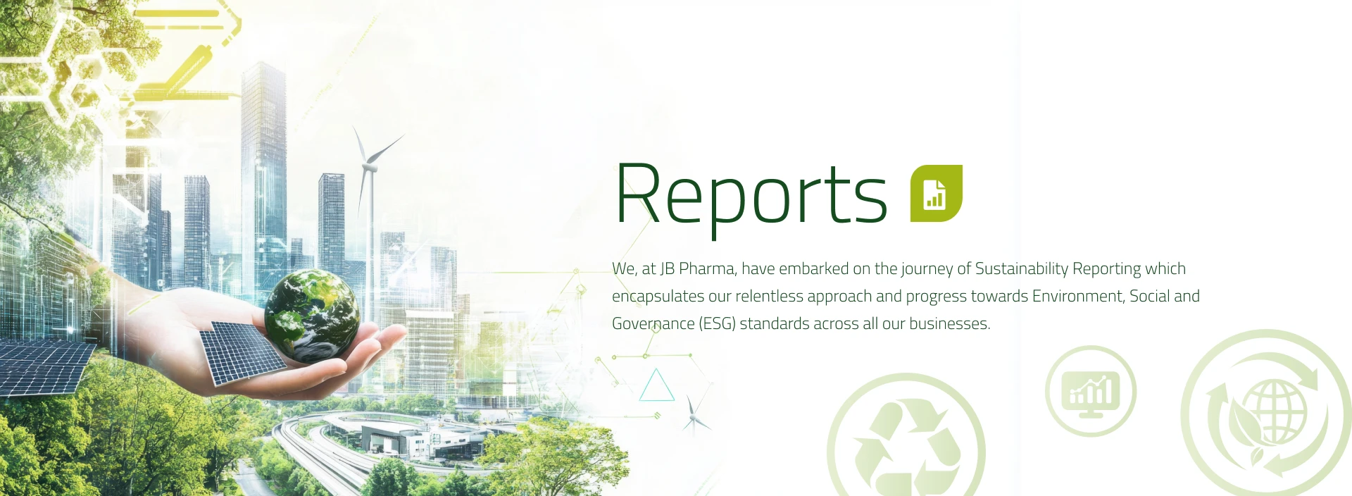 Report Banner